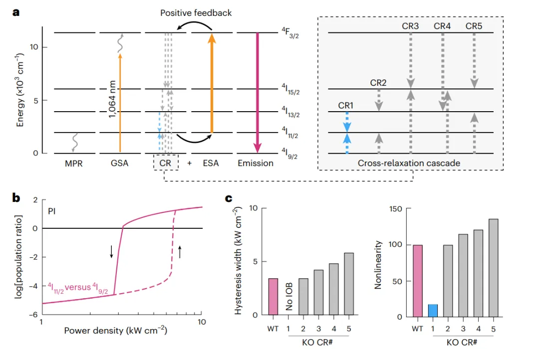 雪崩納米粒子ANPs中的本征光學雙穩(wěn)態(tài)IOB模型。