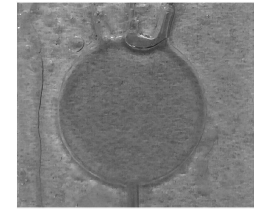 微流控光開關(guān)在實際應(yīng)用中的效果，包括不同流速下的遮光形態(tài)及透光/遮光對比  - 廣西科毅光通信